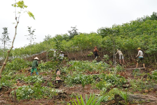 Bứt phá giảm nghèo bền vững - Bài cuối: Đồng lòng vì cuộc sống ấm no