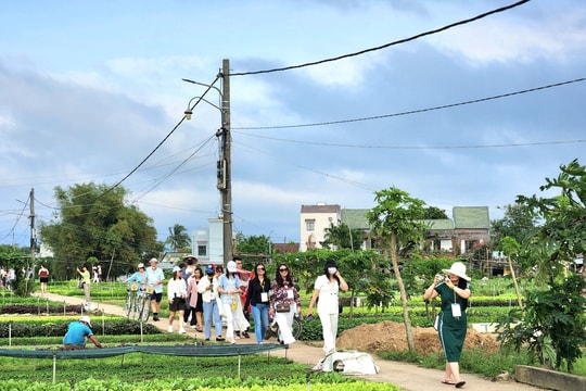Hội An vào tốp 10 điểm đến được khách nội địa tìm kiếm nhiều nhất dịp Giỗ tổ Hùng Vương
