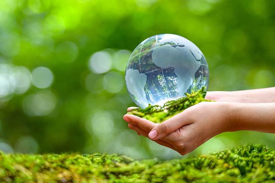 Kêu gọi các cơ quan, tổ chức, cá nhân chung tay bảo vệ môi trường