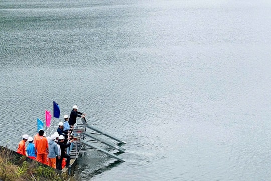 Thả 30 nghìn con cá giống xuống lòng hồ thủy điện Sông Bung 2