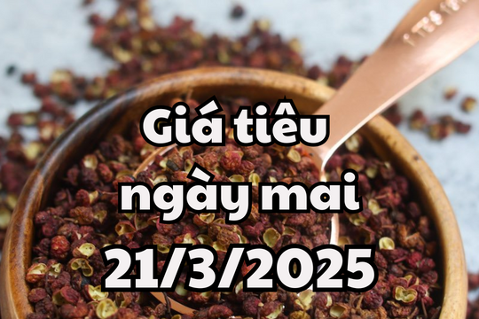 Tin tức, dự báo giá tiêu ngày mai 21/3/2025 sẽ còn tăng tiếp