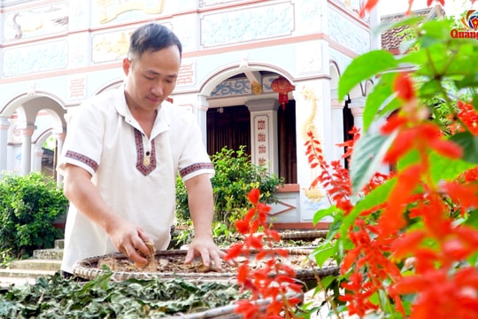 Chuyện người khởi nghiệp từ nghề y truyền thống