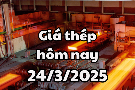 Giá thép hôm nay 24/3/2025 có biến động nhẹ