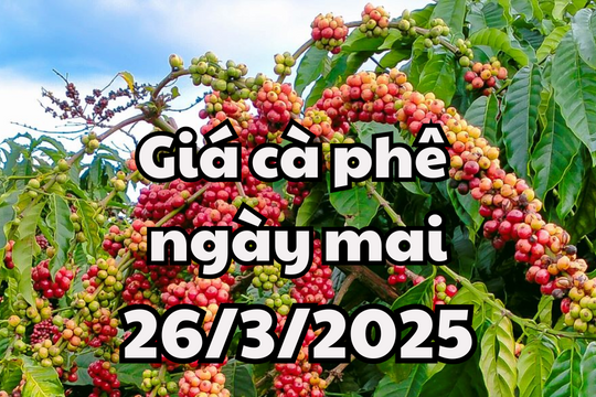 Tin tức, dự báo giá cà phê ngày mai 26/3/2025 sẽ duy trì mở mức cao