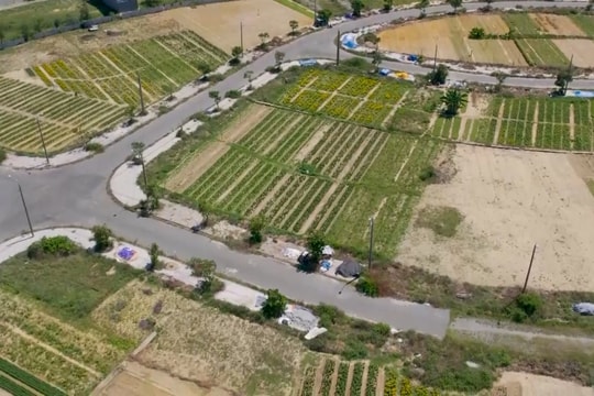 Quảng Nam tăng cường công tác quản lý thị trường bất động sản