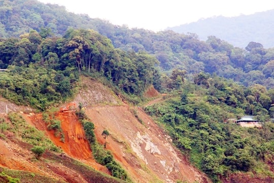 Quảng Nam chuyển hơn 9,5ha rừng thực hiện dự án điện và công trình giao thông