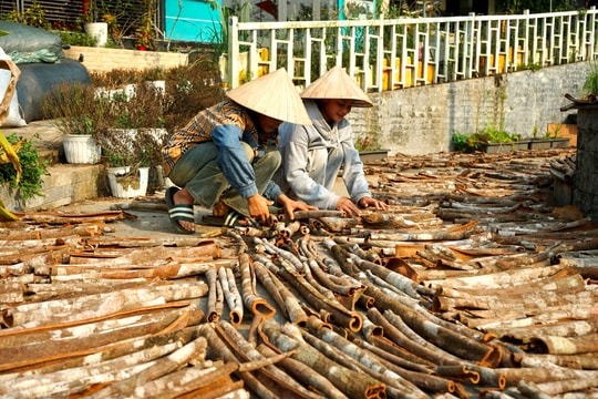 Chỉ dẫn địa lý, căn cước của nông sản
