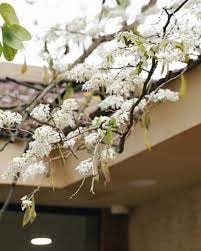 Một ngày tháng Ba