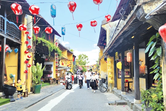 Du lịch Quảng Nam: Làm mới mình trên đường di sản!