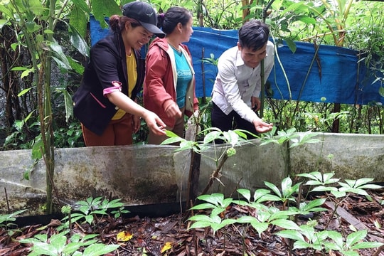 Ngân hàng Chính sách xã hội Quảng Nam tạo động lực phát huy vốn tín dụng