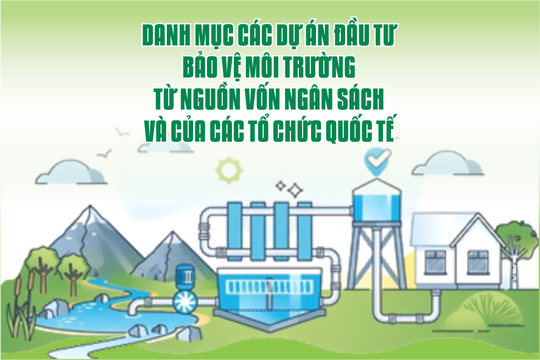 Danh mục các dự án đầu tư bảo vệ môi trường từ nguồn vốn ngân sách và của các tổ chức quốc tế