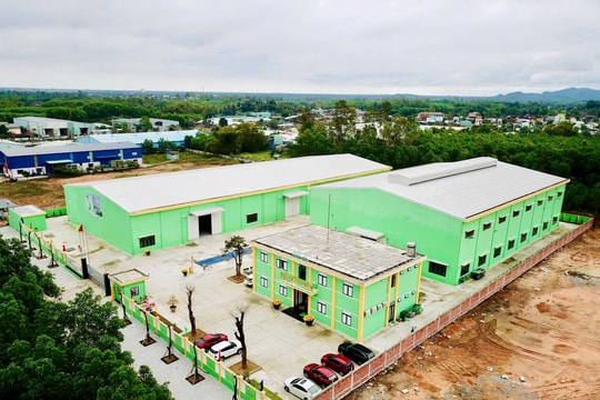 Công ty TNHH ThaiBinh Seed miền Trung - Tây Nguyên: Góp sức tái cơ cấu nông nghiệp