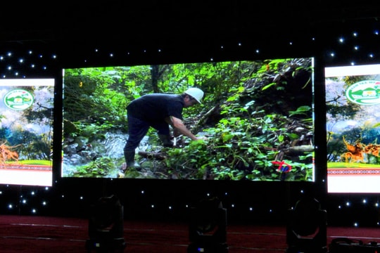 Nam Trà My công chiếu phim tài liệu "Dưới tán rừng Ngọc Linh"