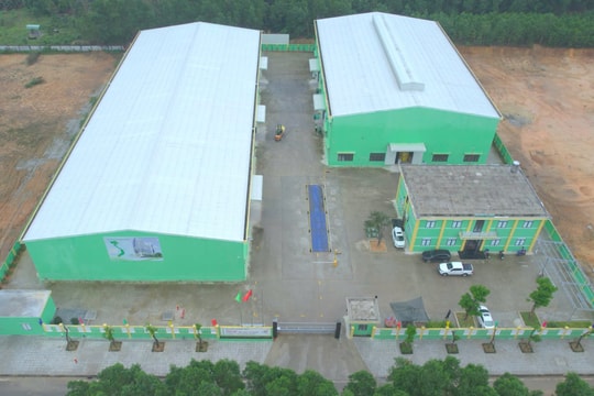 Công ty TNHH ThaiBinh Seed miền Trung - Tây Nguyên khánh thành cơ sở mới tại Phú Ninh