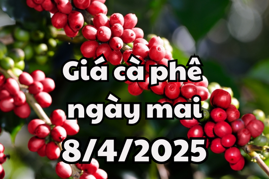 Tin tức, dự báo giá cà phê ngày mai 8/4/2025 chưa có dấu hiệu lạc quan