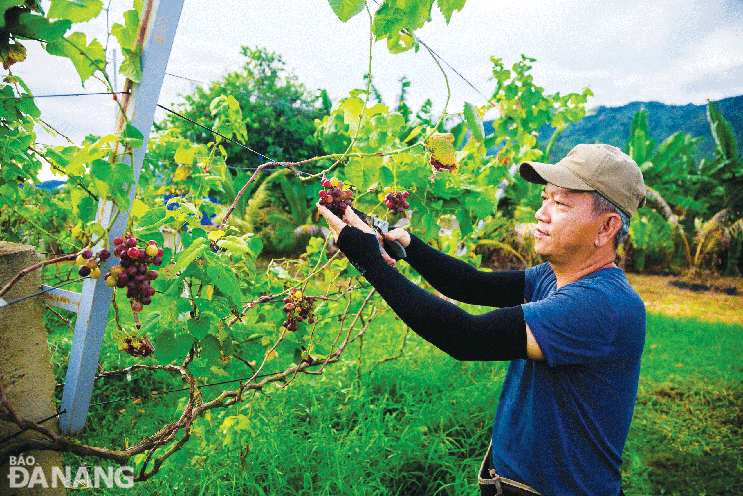 Hòa Bắc vào mùa du lịch