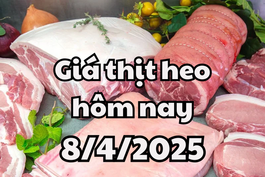 Giá thịt heo hôm nay 8/4/2025 vẫn đang đi ngang trên toàn quốc
