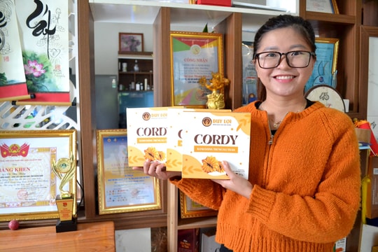 Dấu ấn kinh tế tập thể ở Núi Thành