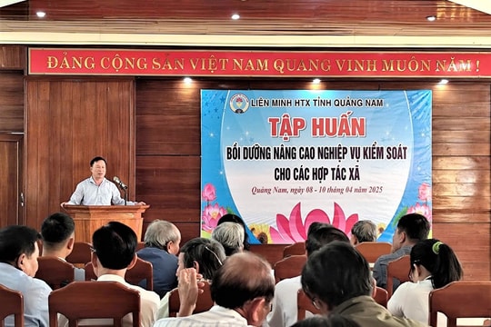 Bồi dưỡng nâng cao nghiệp vụ kiểm soát cho hợp tác xã