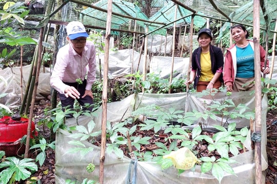 Xây dựng thương hiệu nông sản Quảng Nam