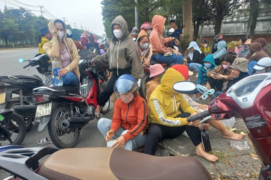 Công ty Minh Hoàng 2 nợ bảo hiểm xã hội, 200 người lao động tập trung yêu cầu giải quyết quyền lợi