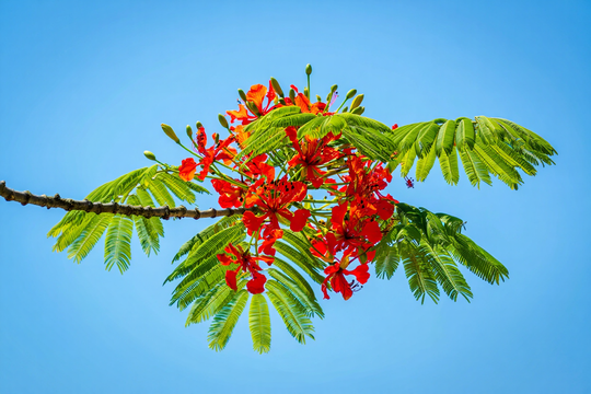 Tháng Tư và cảm tưởng