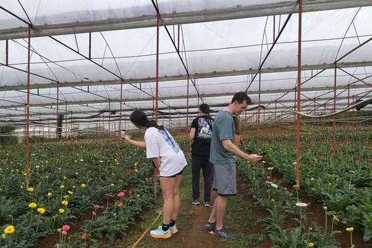 Dalat Countryside Tour: Trải nghiệm sống chậm giữa đại ngàn cao nguyên