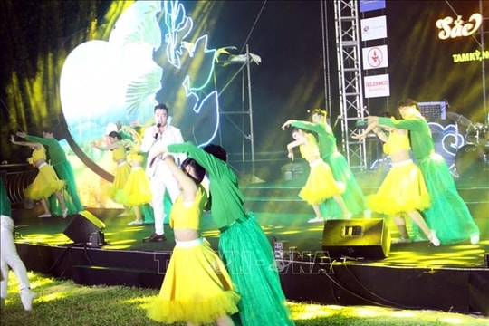 Quảng Nam: Đặc sắc Lễ hội Tam Kỳ mùa hoa sưa năm 2025 - 'Rực rỡ sắc hoa vàng'