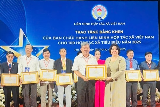 Quảng Nam có 2 hợp tác xã nhận giải thưởng Coop Star Awards