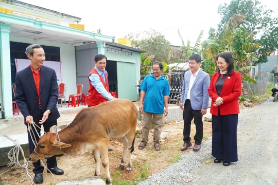 Hội Chữ thập đỏ Quảng Nam đồng hành, hỗ trợ ngư dân yên tâm bám biển