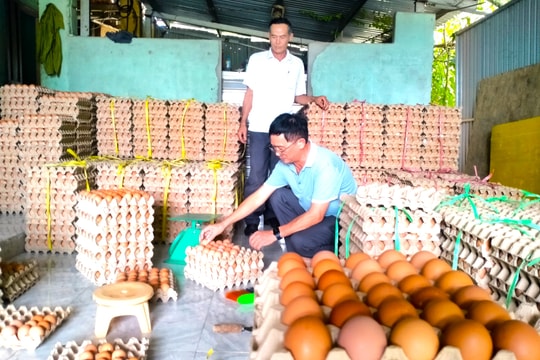 Thúc đẩy phong trào nông dân thi đua sản xuất, kinh doanh giỏi