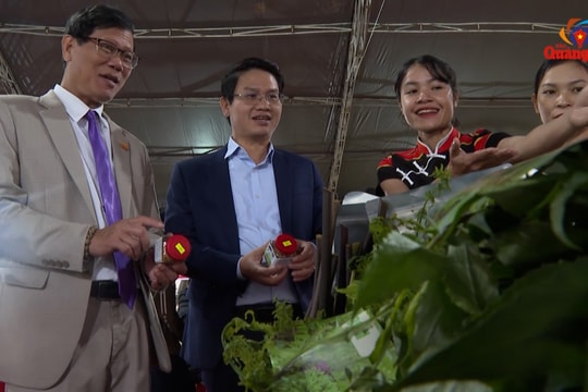 Nông nghiệp Hiệp Đức đẩy mạnh sản xuất liên kết theo chuỗi giá trị