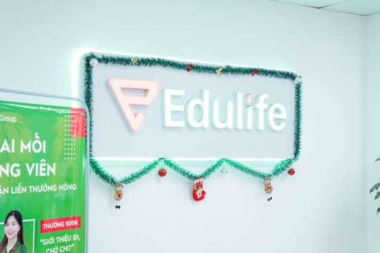 Edulife - Chi sẻ kinh nghiệm phục chứng chỉ VSTEP và Aptis