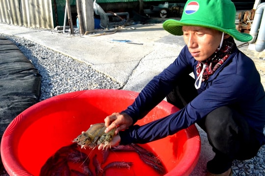 Công bố chỉ số đánh giá kết quả thực hiện các Hiệp định thương mại tự do năm 2024