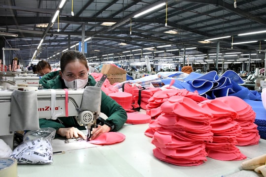 Bộ Công Thương yêu cầu kiểm soát chặt nguyên liệu đầu vào hàng xuất khẩu