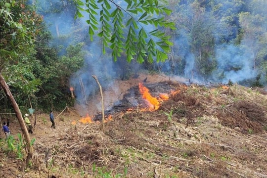 Quảng Nam tăng cường triển khai các biện pháp phòng cháy, chữa cháy rừng