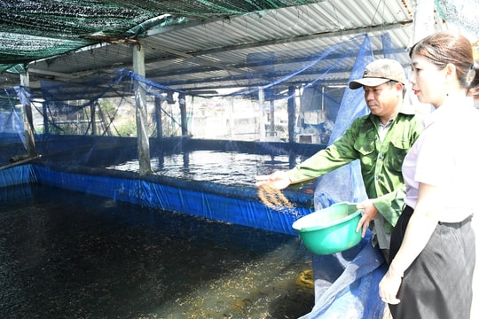 Dư nợ tín dụng chính sách của huyện Thăng Bình đạt hơn 971 tỷ đồng