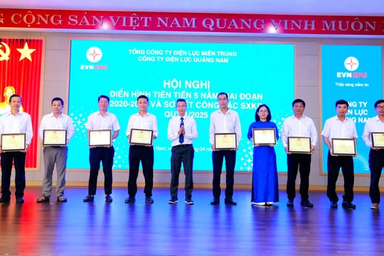 Công ty Điện lực Quảng Nam tuyên dương điển hình tiên tiến giai đoạn 2020 - 2024