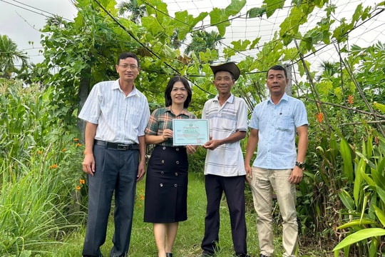 Hội An phát triển sản xuất nông nghiệp hữu cơ