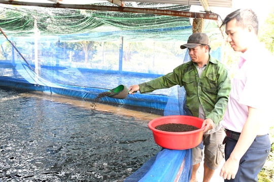 Quảng Nam phát triển sâu rộng tín dụng chính sách