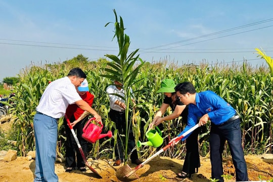 Tuổi trẻ Điện Bàn góp sức thực hiện "Hàng cây tri ân"