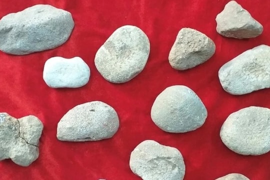 Phát hiện khảo cổ quan trọng về thời tiền sử tại Nghệ An