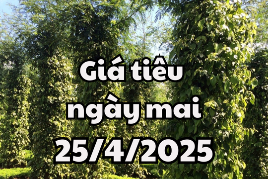 Tin tức, dự báo giá tiêu ngày mai 25/4/2025: Giá tiêu trong nước tiếp tục chuỗi tăng, giá tiêu thế giới phục hồi