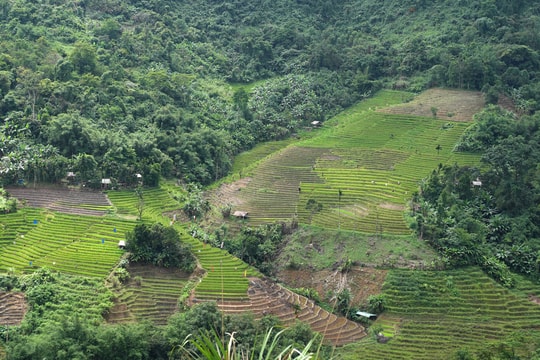 Mùa cấy của người Xê Đăng