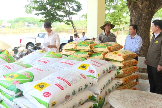 Vụ đông xuân 2024 - 2025, Quảng Nam cung ứng hơn 5.400 tấn phân bón trả chậm