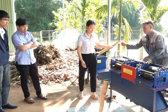 Bắc Trà My nghiệm thu đề án khuyến công hỗ trợ phát triển sản phẩm quế Trà My