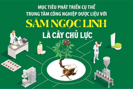 Mục tiêu cụ thể phát triển trung tâm công nghiệp dược liệu với sâm Ngọc Linh là cây chủ lực