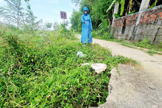 Bờ kè gia cố sông Quảng Huế cần sớm có giải pháp chống sạt lở