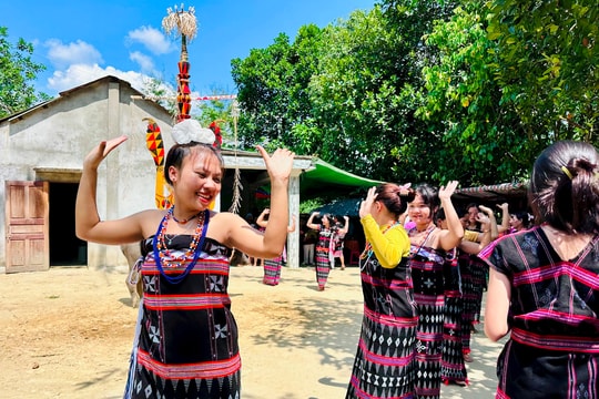 Tăng cường phối hợp triển khai dự án về bình đẳng giới và trẻ em