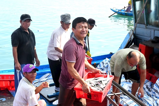 Quảng Nam kiểm soát chặt tàu cá để gỡ “thẻ vàng” thủy sản